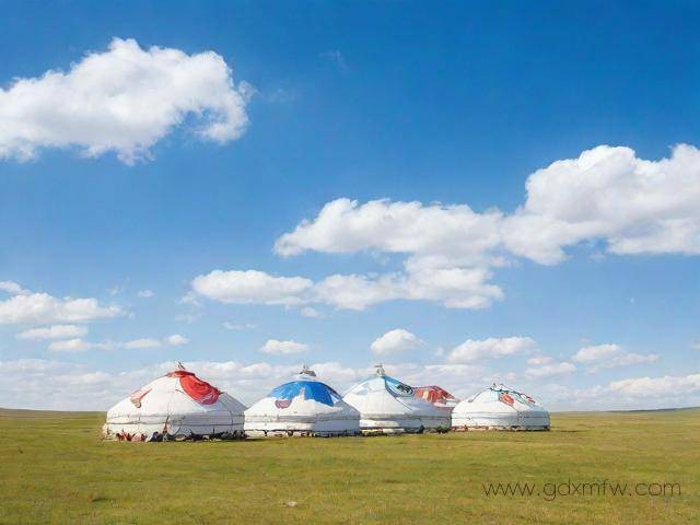 外蒙古办理签证流程（外蒙古办理签证流程图）