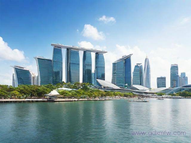 新加坡自由行签证办理流程（新加坡自由行签证办理流程图）