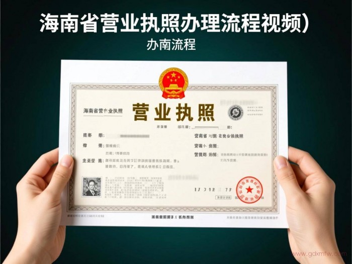 海南省营业执照办理流程（海南省营业执照办理流程视频）