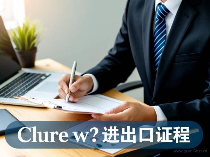 进出口权办理的流程（进出口权办理流程规章制度）