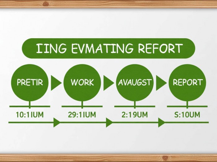 办理环评报告流程（办理环评报告流程及时间）