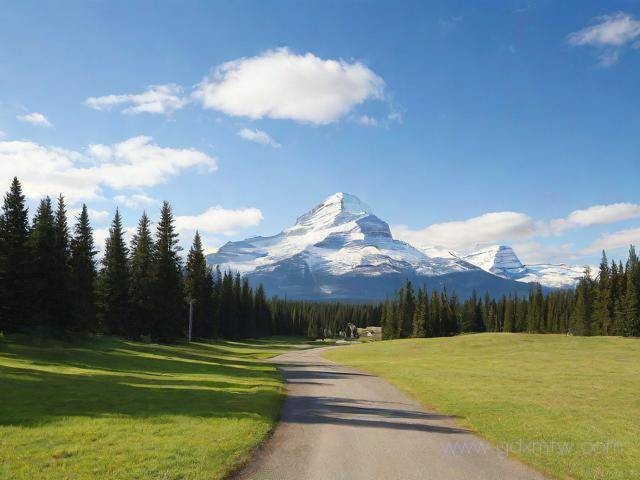 加拿大的签证办理流程（加拿大签证如何办理流程）