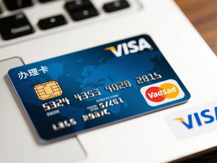 办理visa卡流程（办理visa卡需要什么材料）