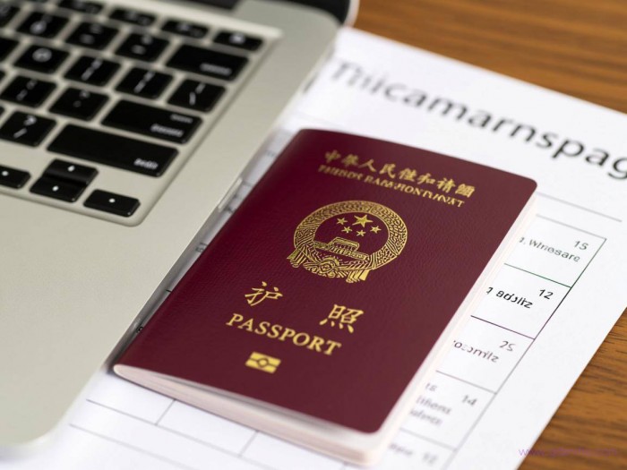 申请办理异地护照流程（申请办理异地护照流程图）