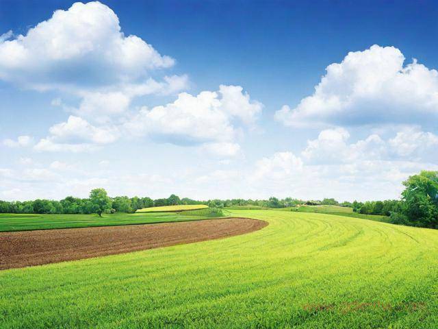 土地产权证办理流程(土地证办理程序)