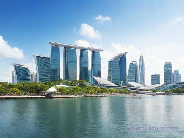 新加坡自由行签证办理流程（新加坡自由行签证办理流程图）