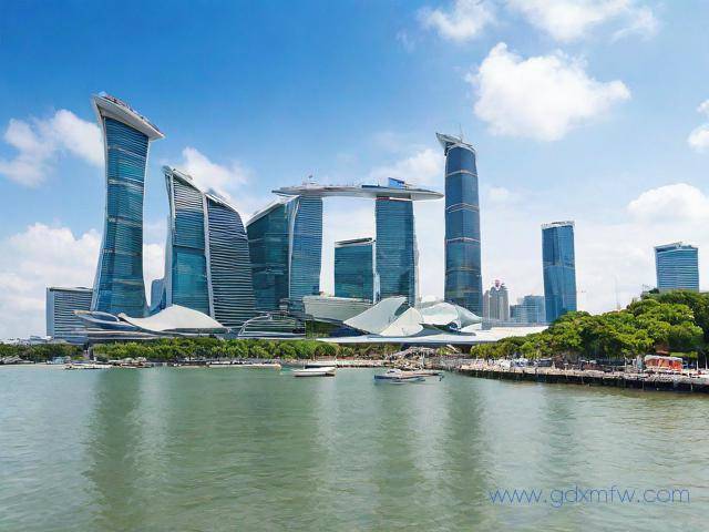 新加坡自由行签证办理流程（新加坡自由行签证办理流程图）