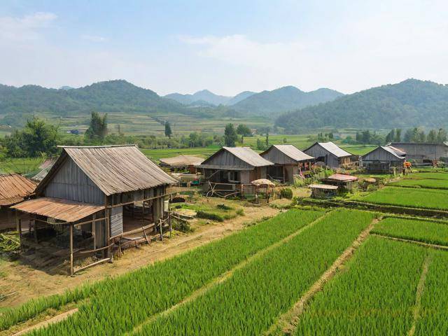 农家乐营业执照办理流程（农家乐营业执照怎么办理）