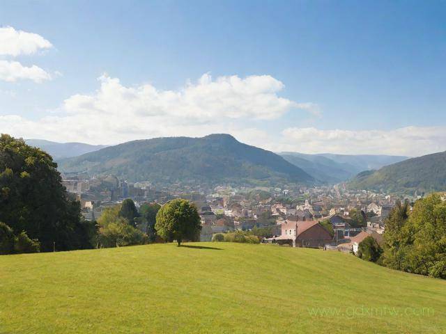 出国劳务资质办理流程（出国劳务资质办理流程视频）