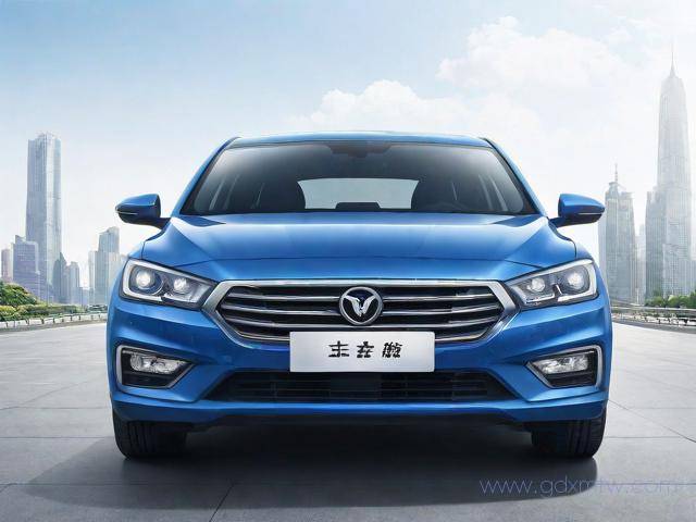 广州车牌摇号办理流程（广州车牌2020摇号流程）