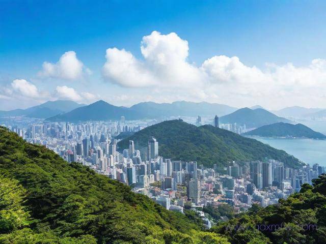 办理台湾旅游流程签证(办理台湾旅游流程签证需要多久)