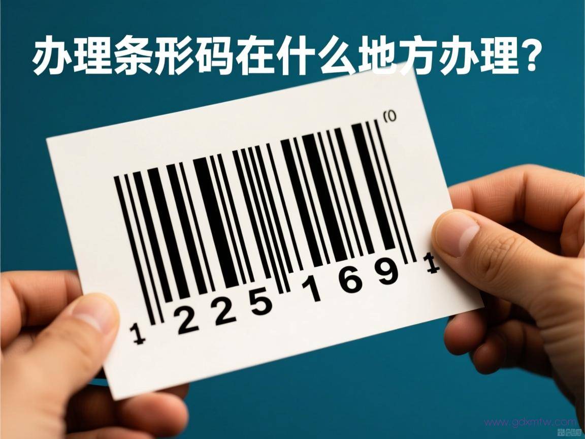 条形码哪里办理流程（办理条形码在什么地方办理?）