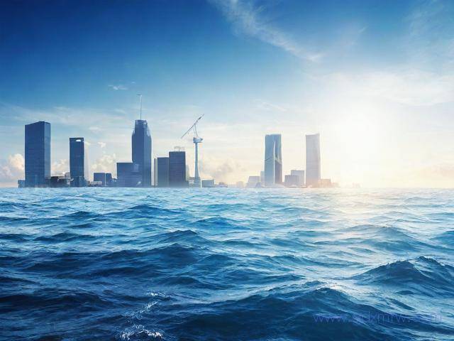 离岸公司注册办理流程(离岸公司注册在哪里最好)