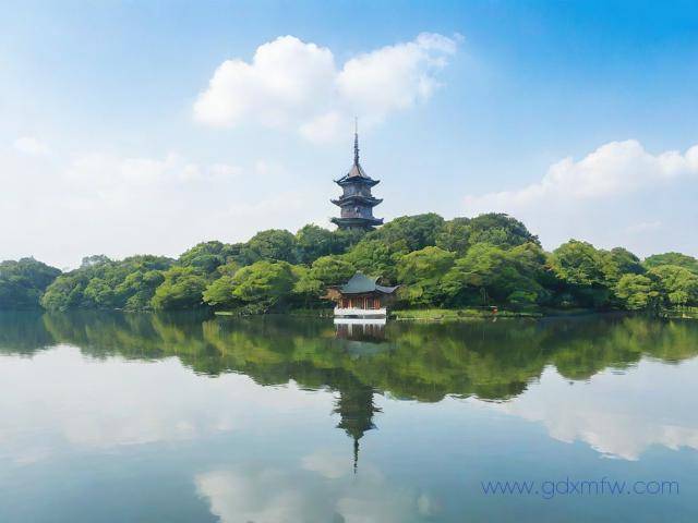 杭州健康证明办理流程（杭州办健康证详细流程）