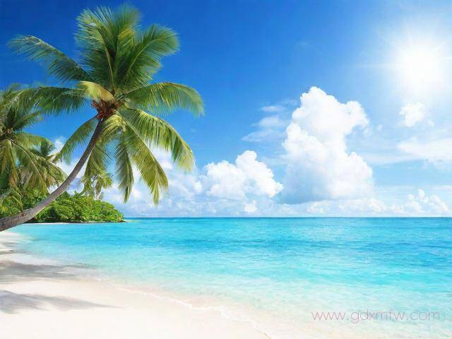 海南代理记账办理流程（海口代理记账）