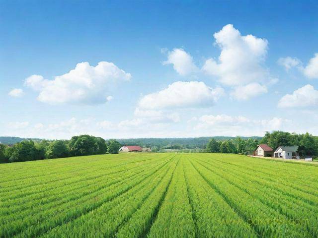 宅基证怎么办理流程（宅基证需要什么手续）