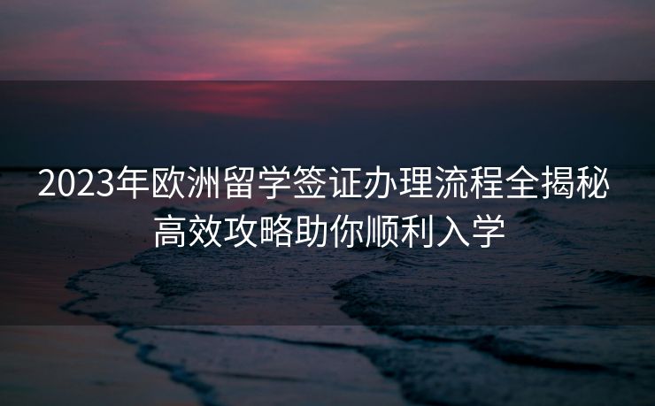 2023年欧洲留学签证办理流程全揭秘 高效攻略助你顺利入学