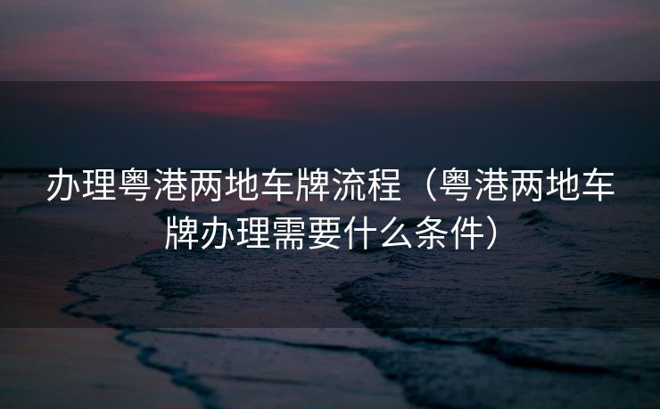 办理粤港两地车牌流程（粤港两地车牌办理需要什么条件）