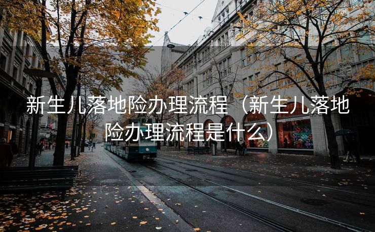 新生儿落地险办理流程（新生儿落地险办理流程是什么）