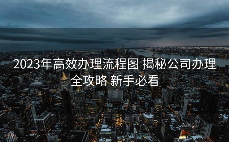 2023年高效办理流程图 揭秘公司办理全攻略 新手必看