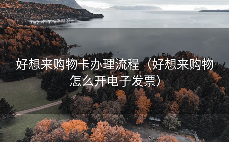 好想来购物卡办理流程（好想来购物怎么开电子发票）