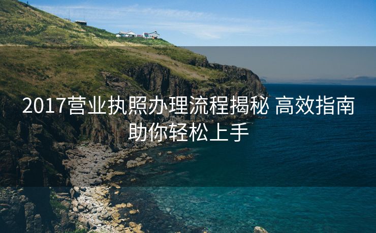 2017营业执照办理流程揭秘 高效指南助你轻松上手 2017营业执照办理流程揭秘 高效指南助你轻松上手