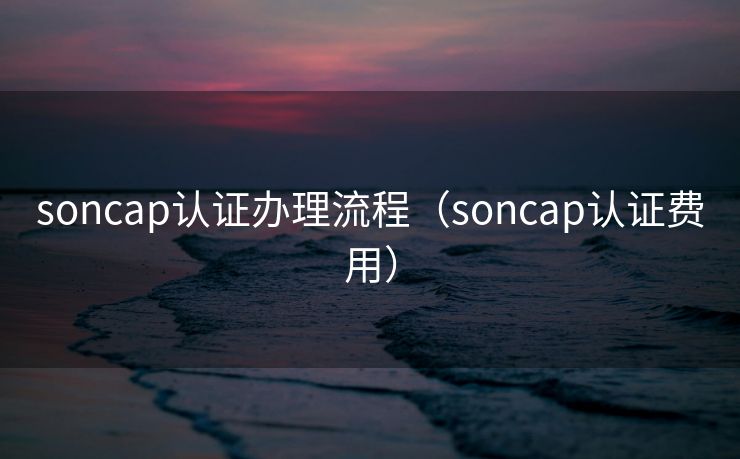 soncap认证办理流程（soncap认证费用）