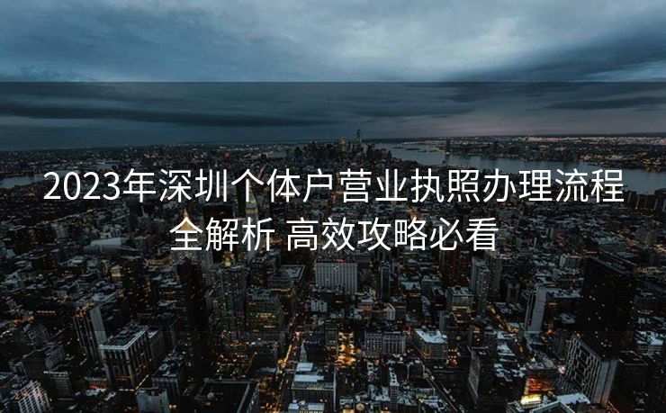 2023年深圳个体户营业执照办理流程全解析 高效攻略必看