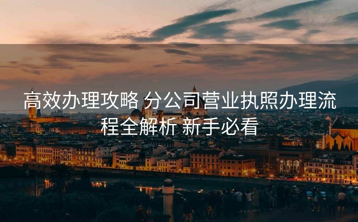 高效办理攻略 分公司营业执照办理流程全解析 新手必看 高效办理攻略 分公司营业执照办理流程全解析 新手必看