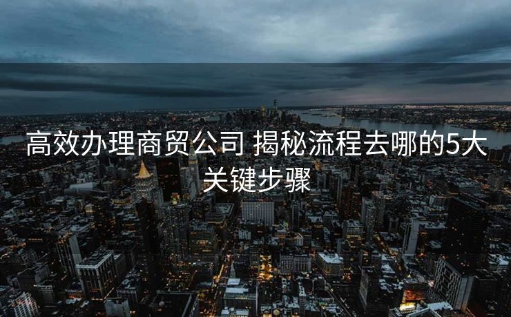 高效办理商贸公司 揭秘流程去哪的5大关键步骤