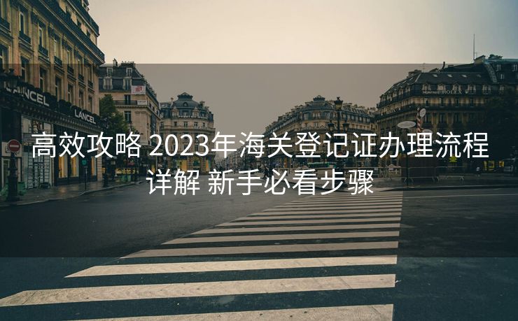 高效攻略 2023年海关登记证办理流程详解 新手必看步骤 高效攻略 2023年海关登记证办理流程详解 新手必看步骤