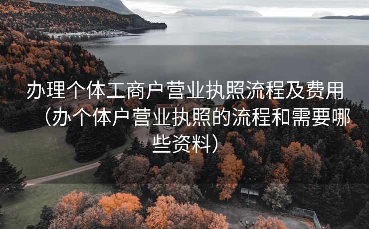 办理个体工商户营业执照流程及费用（办个体户营业执照的流程和需要哪些资料）