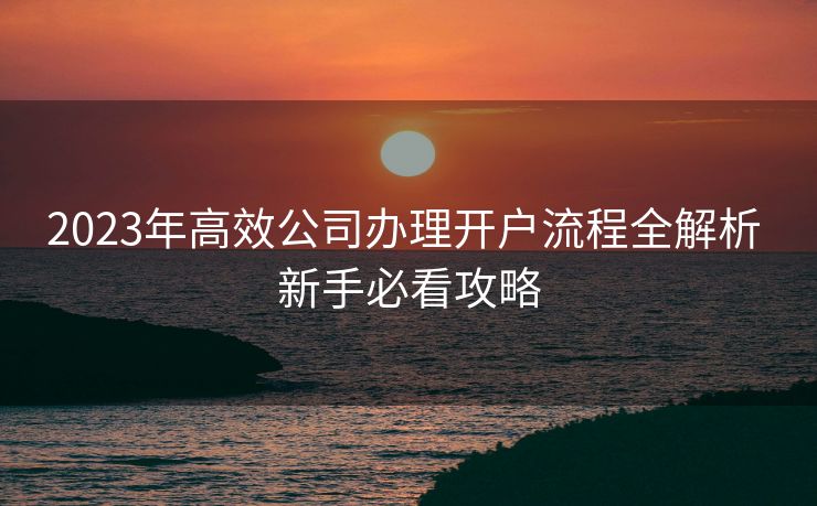 2023年高效公司办理开户流程全解析 新手必看攻略 2023年高效公司办理开户流程全解析 新手必看攻略