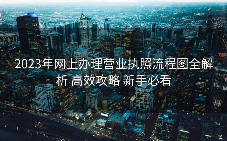 2023年网上办理营业执照流程图全解析 高效攻略 新手必看
