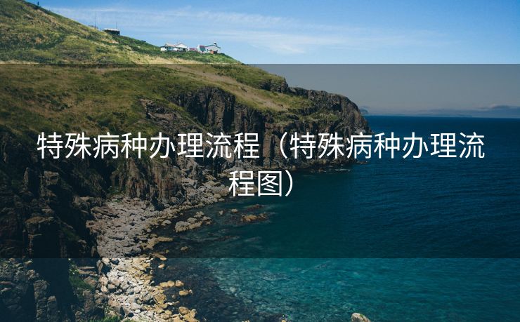 特殊病种办理流程（特殊病种办理流程图）