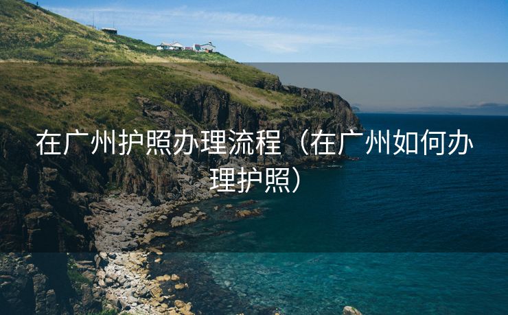 在广州护照办理流程（在广州如何办理护照）