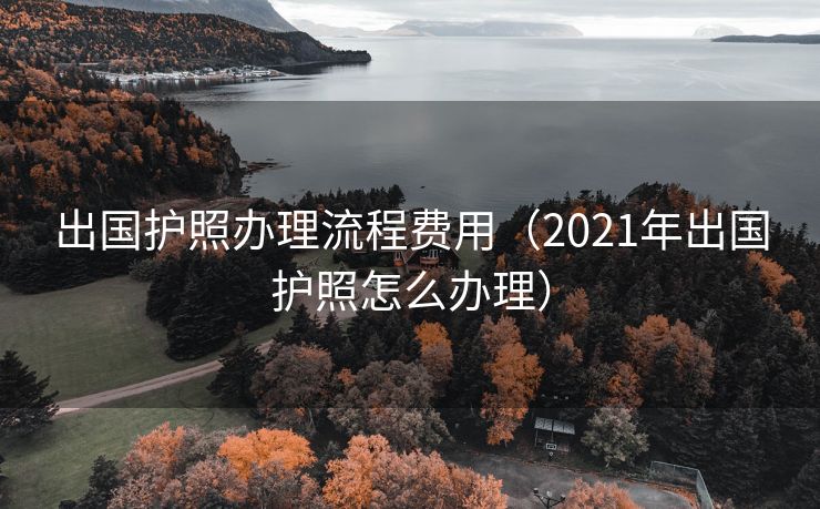 出国护照办理流程费用（2021年出国护照怎么办理）
