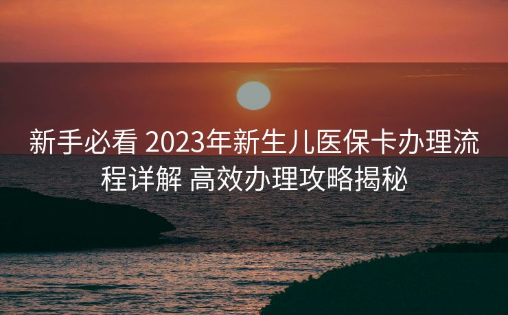 新手必看 2023年新生儿医保卡办理流程详解 高效办理攻略揭秘