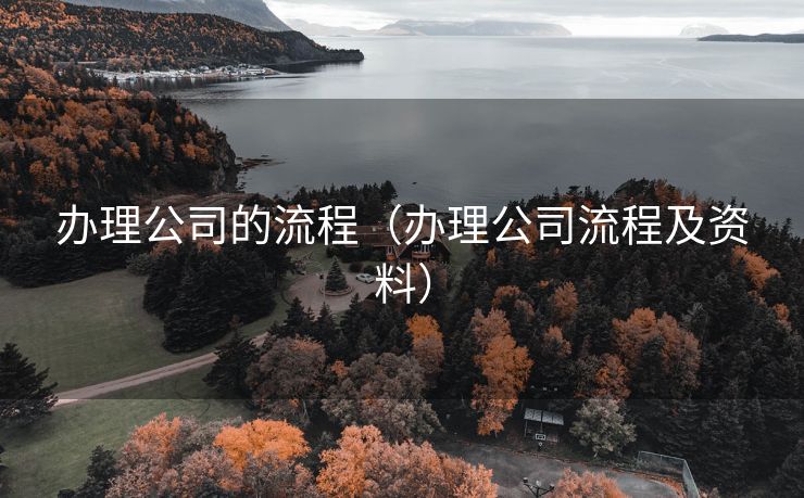 办理公司的流程(办理公司流程及资料) 办理公司的流程(办理公司流程及资料)