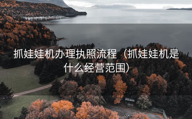 抓娃娃机办理执照流程（抓娃娃机是什么经营范围）