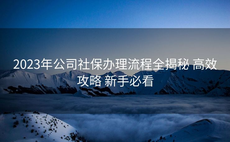2023年公司社保办理流程全揭秘 高效攻略 新手必看