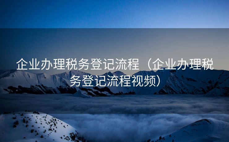 企业办理税务登记流程（企业办理税务登记流程视频）