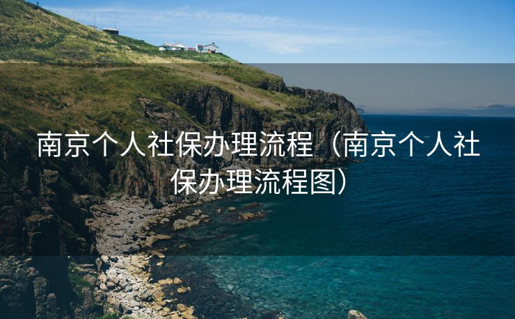 南京个人社保办理流程（南京个人社保办理流程图）