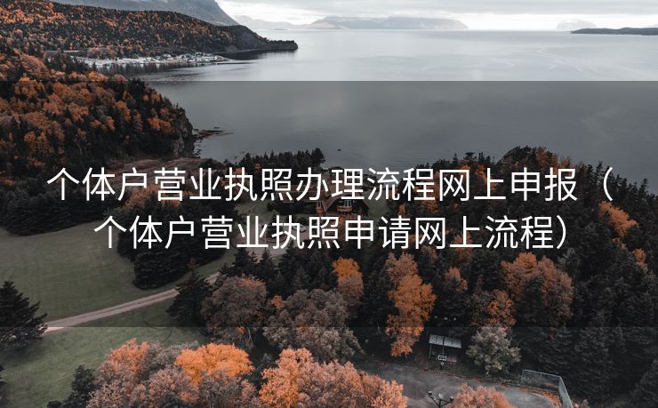 个体户营业执照办理流程网上申报（个体户营业执照申请网上流程）