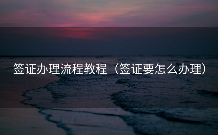 签证办理流程教程(签证要怎么办理) 签证办理流程教程(签证要怎么办理)