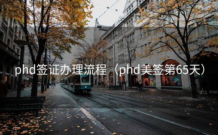 phd签证办理流程（phd美签第65天）
