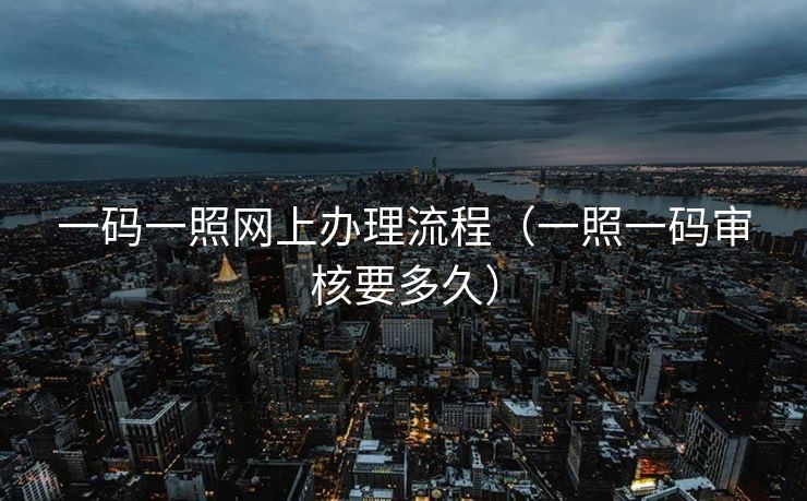 一码一照网上办理流程（一照一码审核要多久）