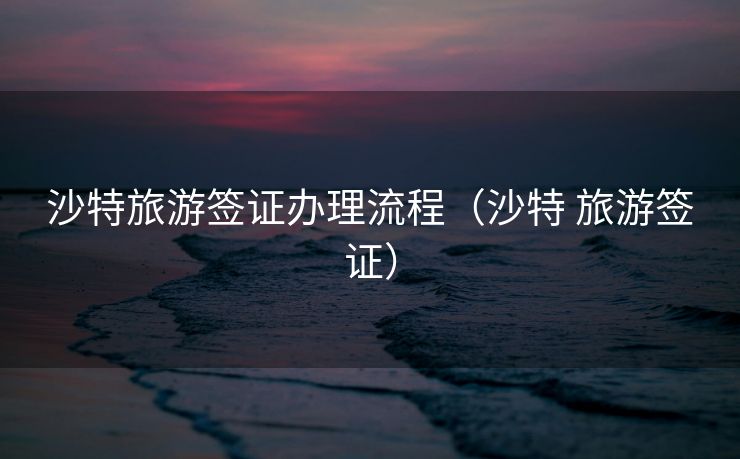 沙特旅游签证办理流程（沙特 旅游签证）
