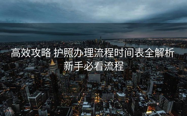 高效攻略 护照办理流程时间表全解析 新手必看流程