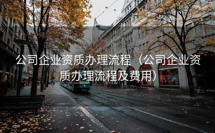 公司企业资质办理流程（公司企业资质办理流程及费用）